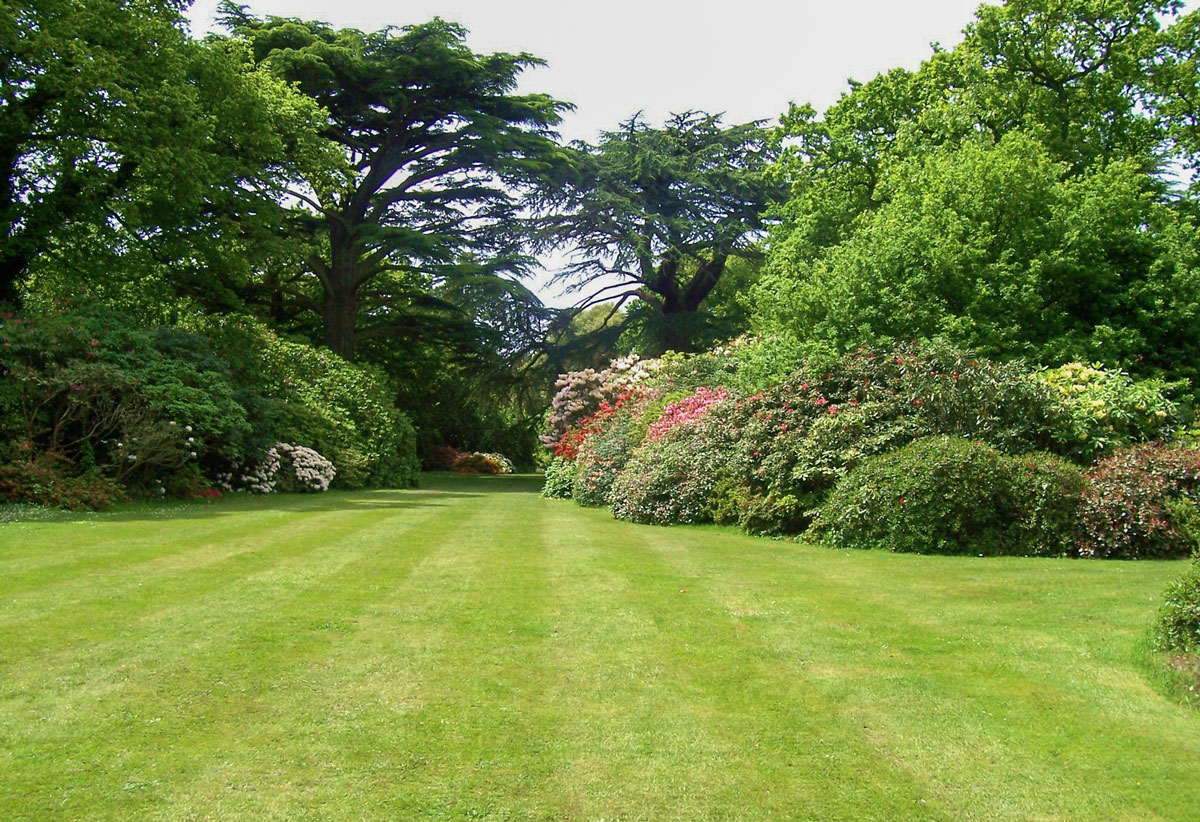 landscaping