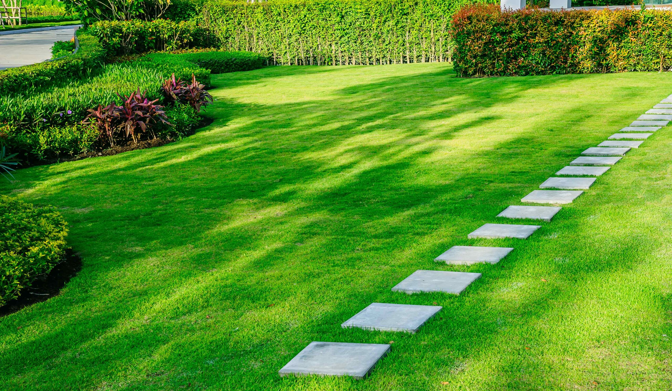 Lawn With Paving Slabs