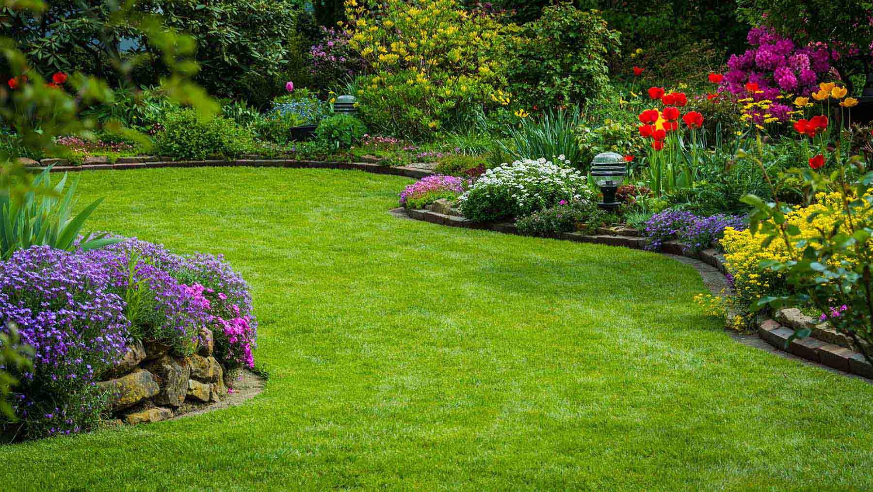 Freshly Mowed Lawn