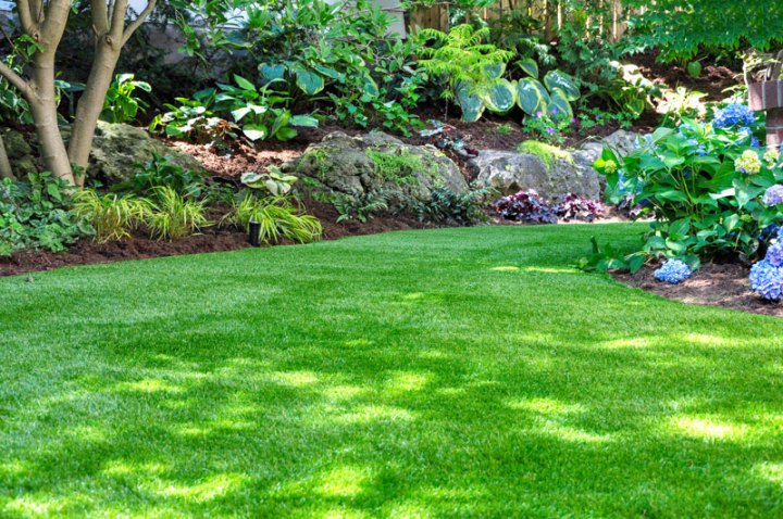 lawncare