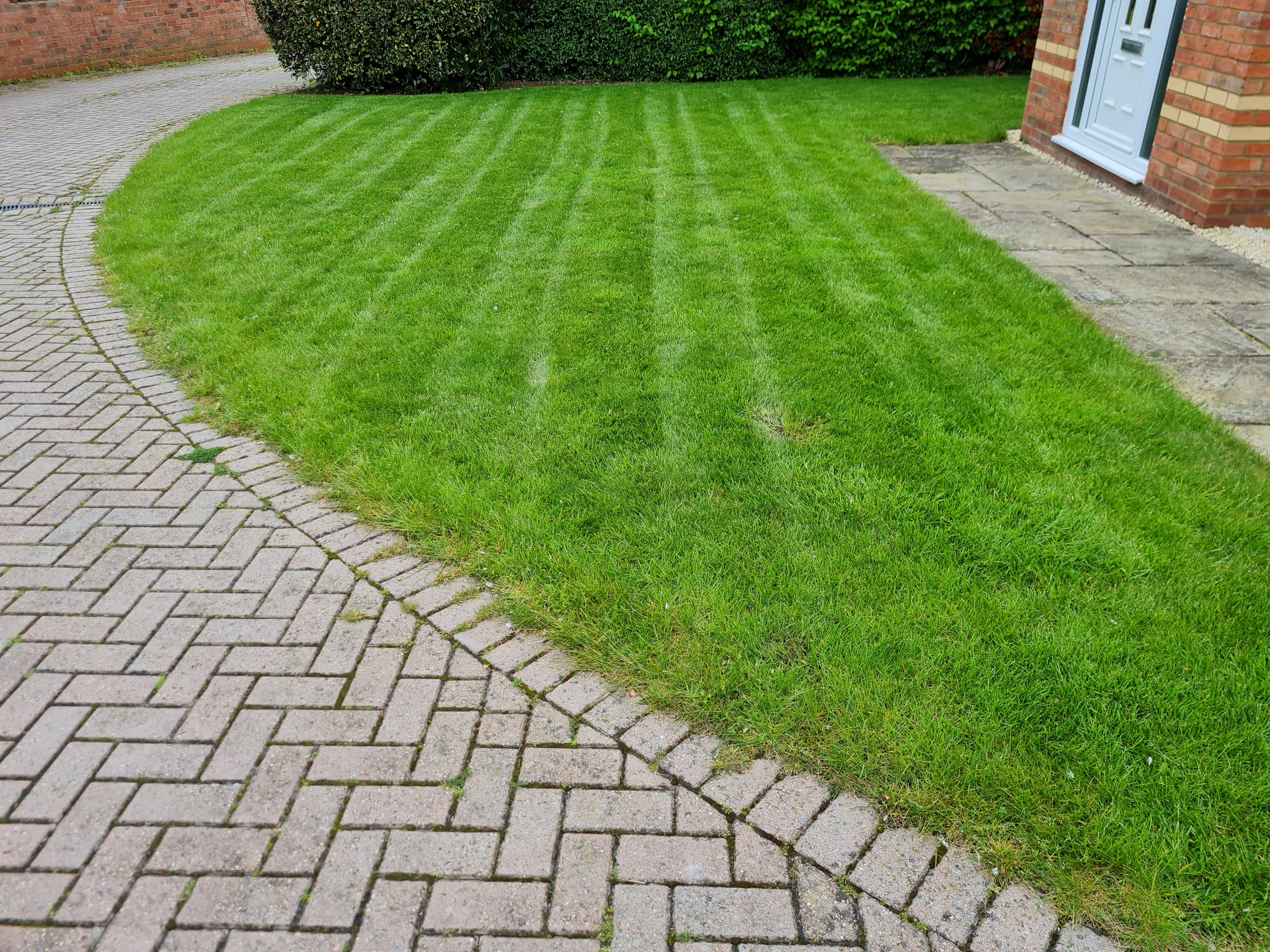 Lawn Care