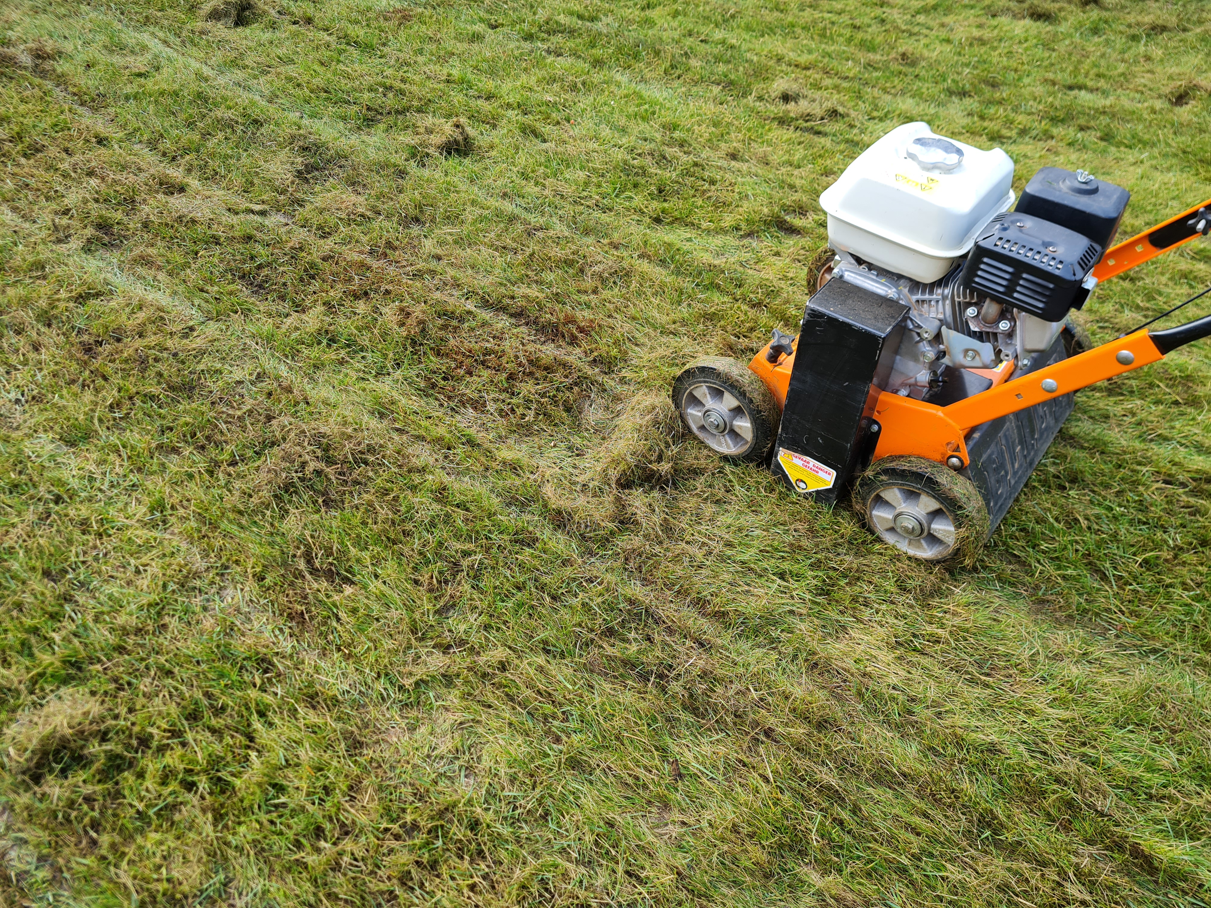 Lawn Care